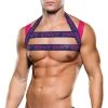 Men's Envy Pink And Blue Logo Harness