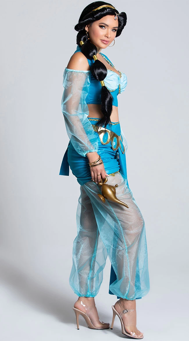 Desert Jewel Princess Costume 4 Desert Jewel Princess Costume - Image 4