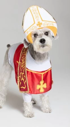 Holy Hound Dog Costume