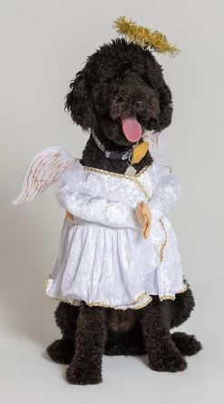 Heavenly Hound Dog Costume