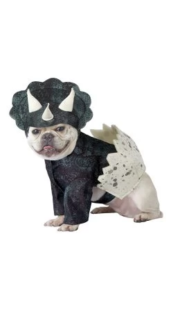 Dino Pup Dog Costume -Lingerie Shop CC PET20159 DinoEgg 2019Halloween
