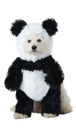 Panda Pooch Dog Costume -Lingerie Shop CC PET20163 PandaPooch 2019Halloween