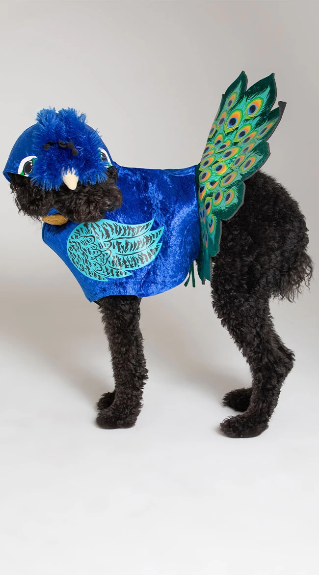 Pretty As A Peacock Dog Costume 2 Pretty As A Peacock Dog Costume - Image 2