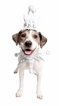 Silver Snowflake Dog Costume -Lingerie Shop KR 00303 SNOWFLAKE 2 2019COSTUMES