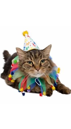 Celebration Pet Costume -Lingerie Shop KR 00464 PARTY 2 2019COSTUMES