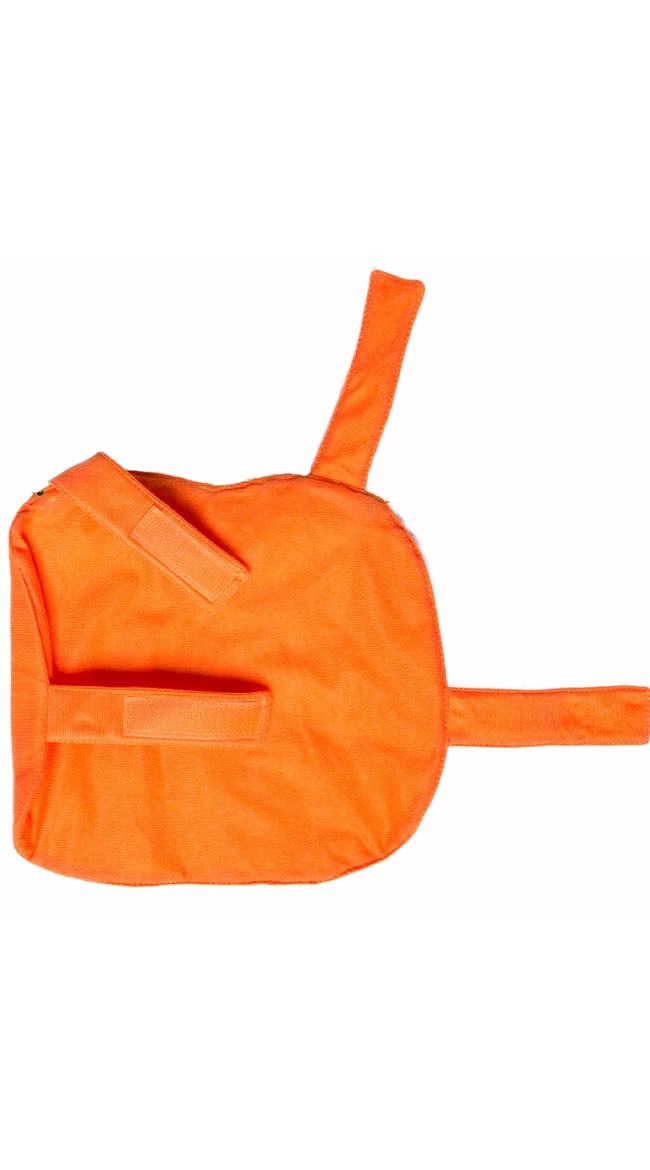 Pumpkin Pet Harness Costume 7 Pumpkin Pet Harness Costume - Image 7