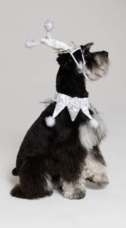 Silver Snowflake Dog Costume -Lingerie Shop KR PK00303 PS2019PET 1