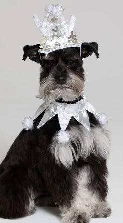 Silver Snowflake Dog Costume