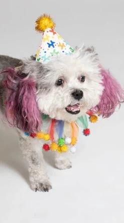 Celebration Pet Costume