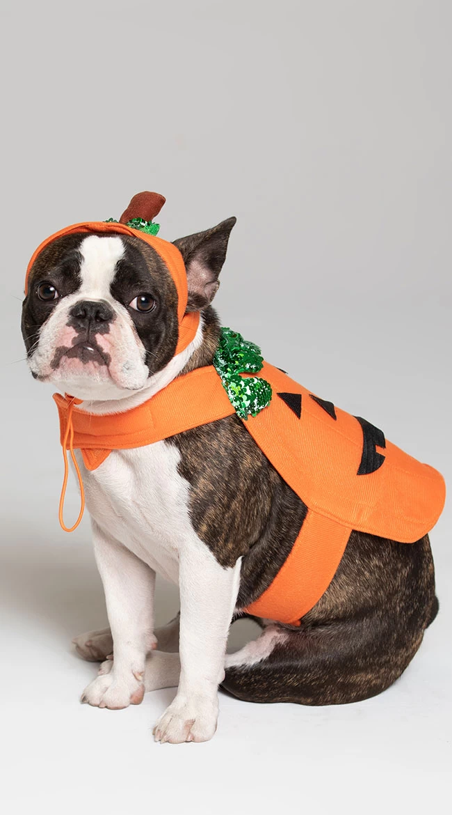 Pumpkin Pet Harness Costume 1 Pumpkin Pet Harness Costume