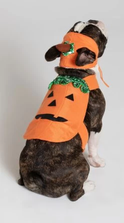 Pumpkin Pet Harness Costume 11 Pumpkin Pet Harness Costume -Lingerie Shop KR PK00466 PS2019PET 3