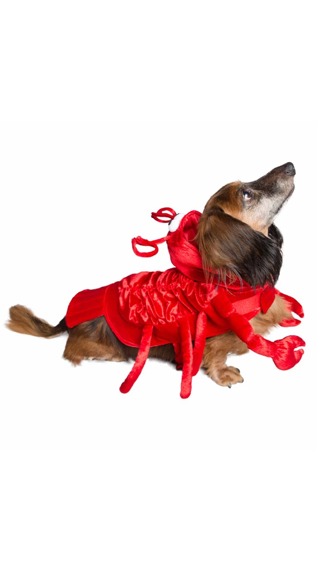 Lazy Lobster Pet Costume 2 Lazy Lobster Pet Costume - Image 2