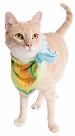 Corny Cutie Pet Costume 8 Corny Cutie Pet Costume -Lingerie Shop KR PK00813 CORN 1 2021HALLOWEEN