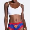 Superman Hipster Panty